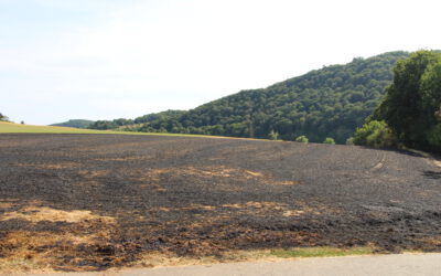 B2.02 Flächenbrand groß